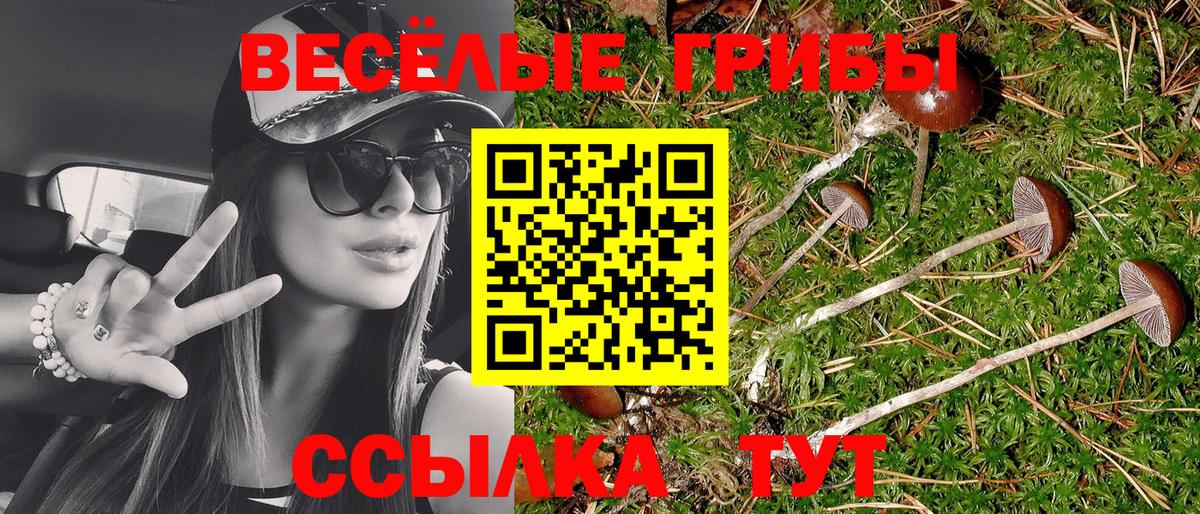 Псилоцибиновые грибы Cubensis  Вход с VPN  купить наркотики цена  Галлюциногенные грибы Psilocybe  Архангельск 